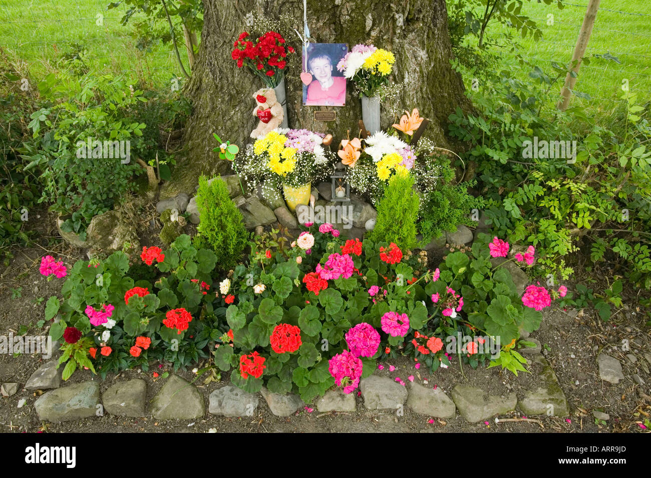 Killed in car crash hires stock photography and images Alamy