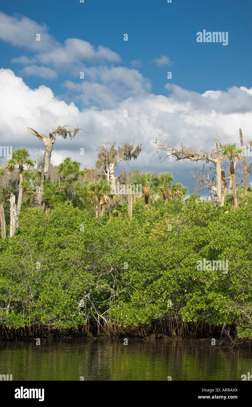 Escape to the Wild: Discover Jonathan Dickinson State Park, Florida's Hidden Gem