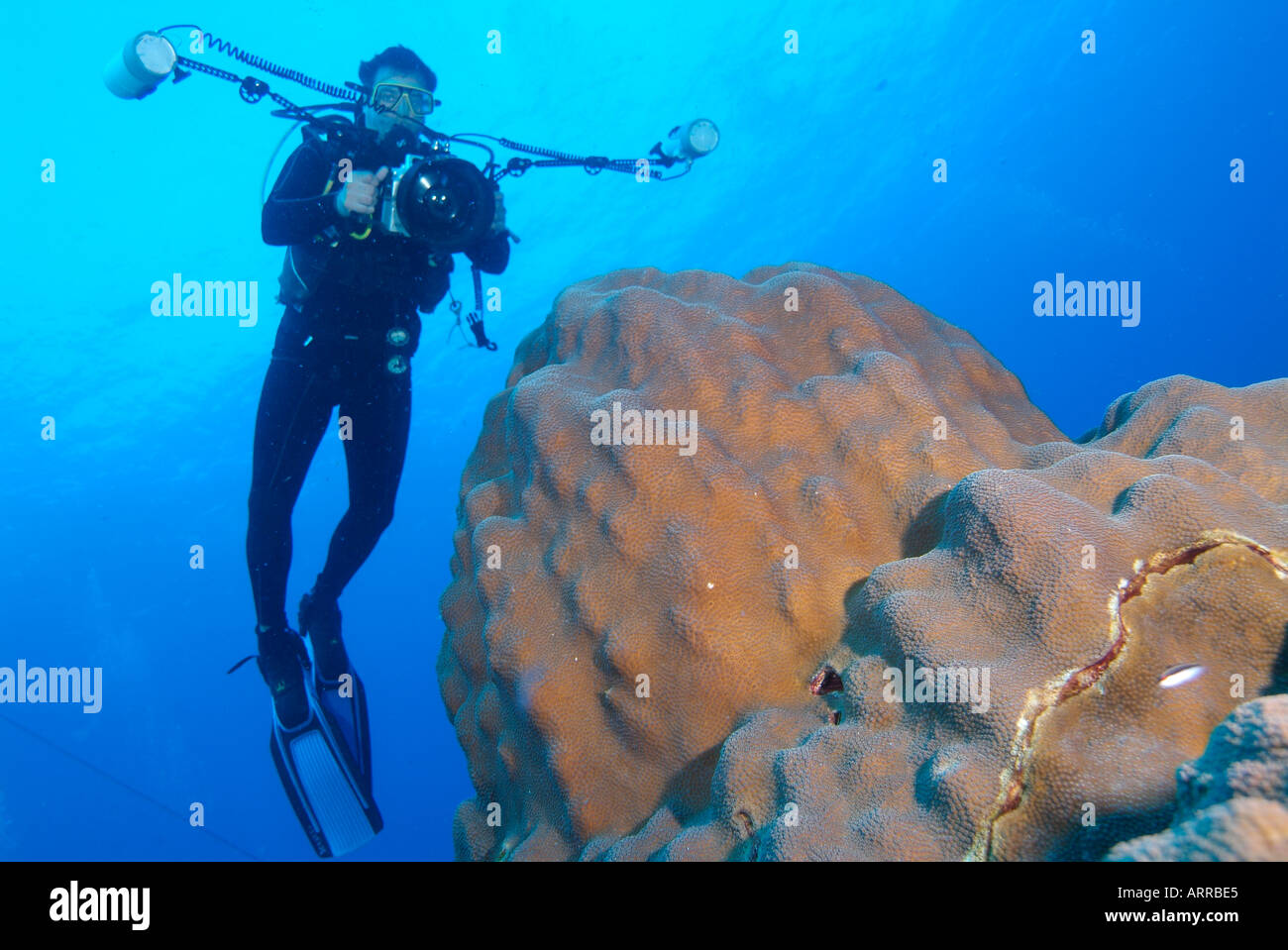 An underwater photographer male diver swimming Gulf Mexico Stock Photo