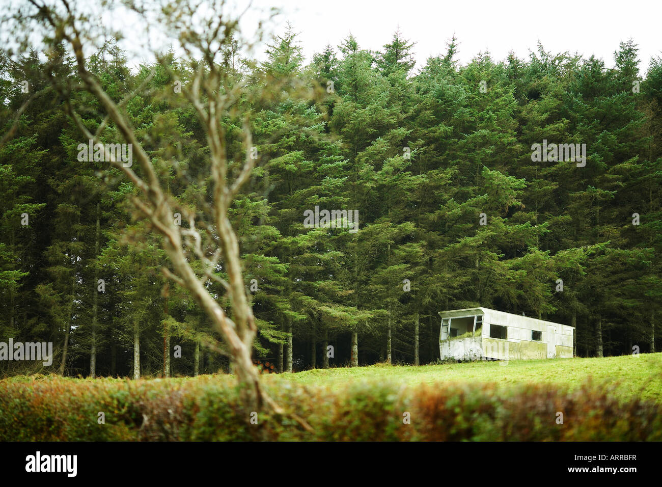 Motorhome in Field with Trees Inishowen Peninsula, County Donegal, Republic of Ireland, Europe Stock Photo