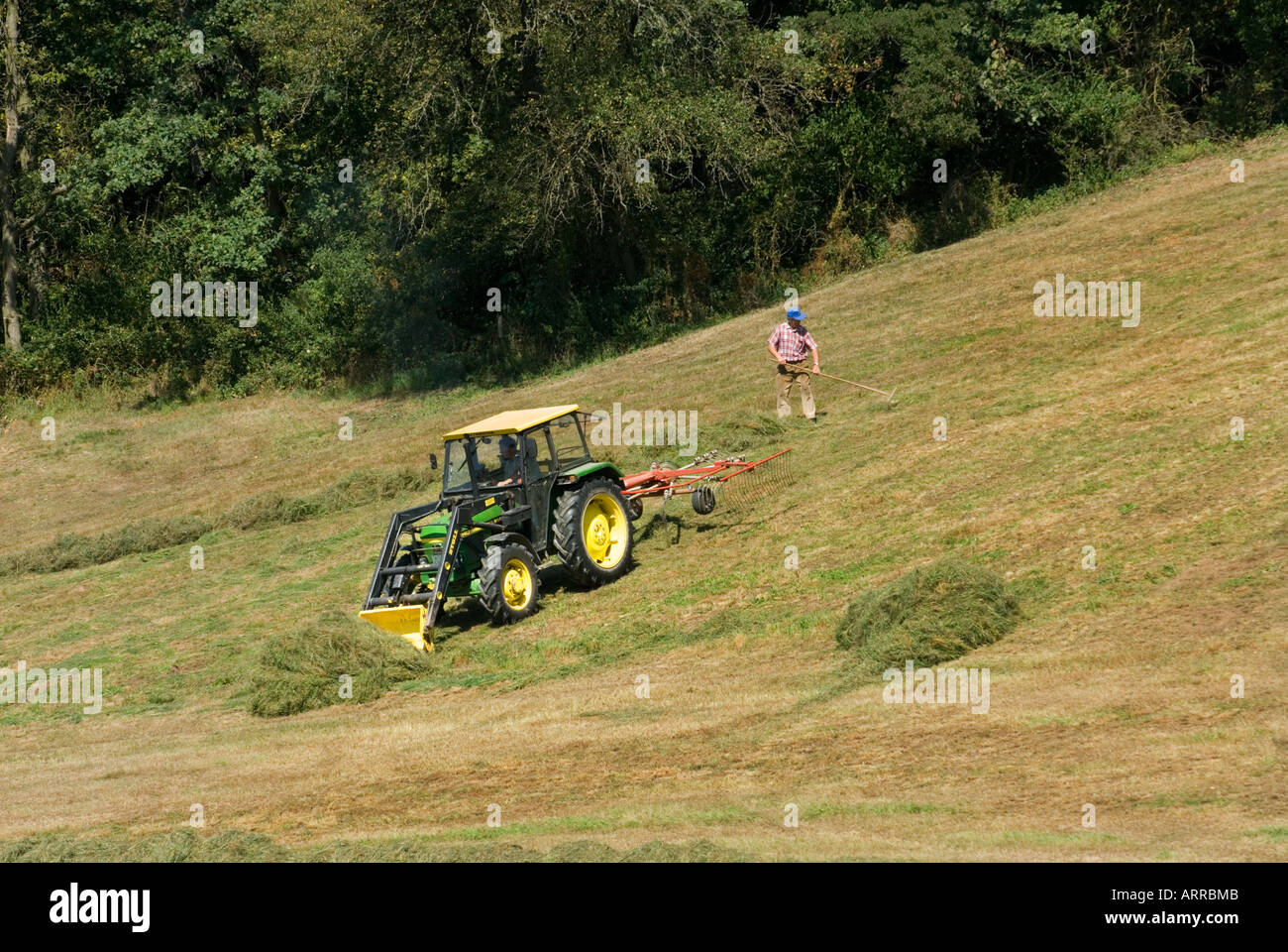 on a slope glade a farmer is making hay with a tractor hay harvest  agriculture agricultural vehicle Stock Photo