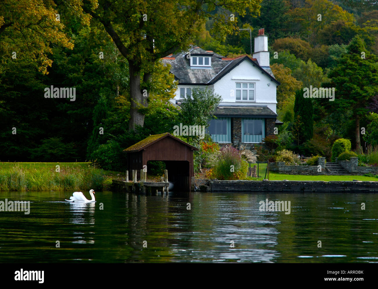 Swan and lakeside house, Lake Windermere, Lake District National ...