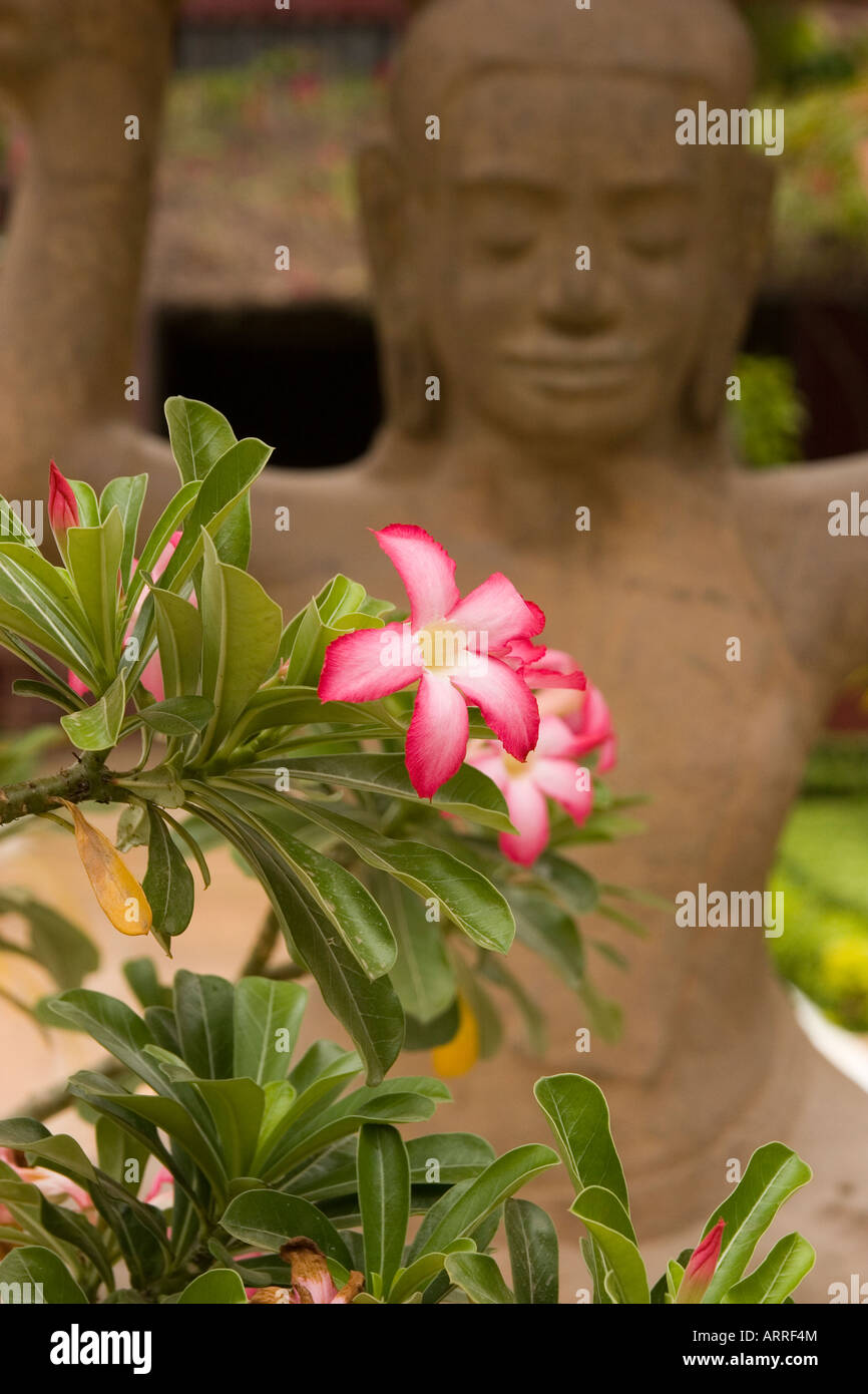 Flower with Khmer Angkor period sculpture National Museum Phnom Penh Stock  Photo - Alamy