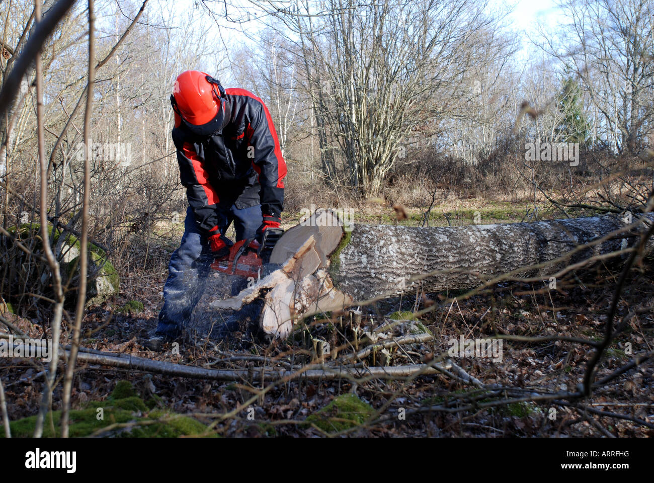 Worker with chain saw Stock Photo - Alamy