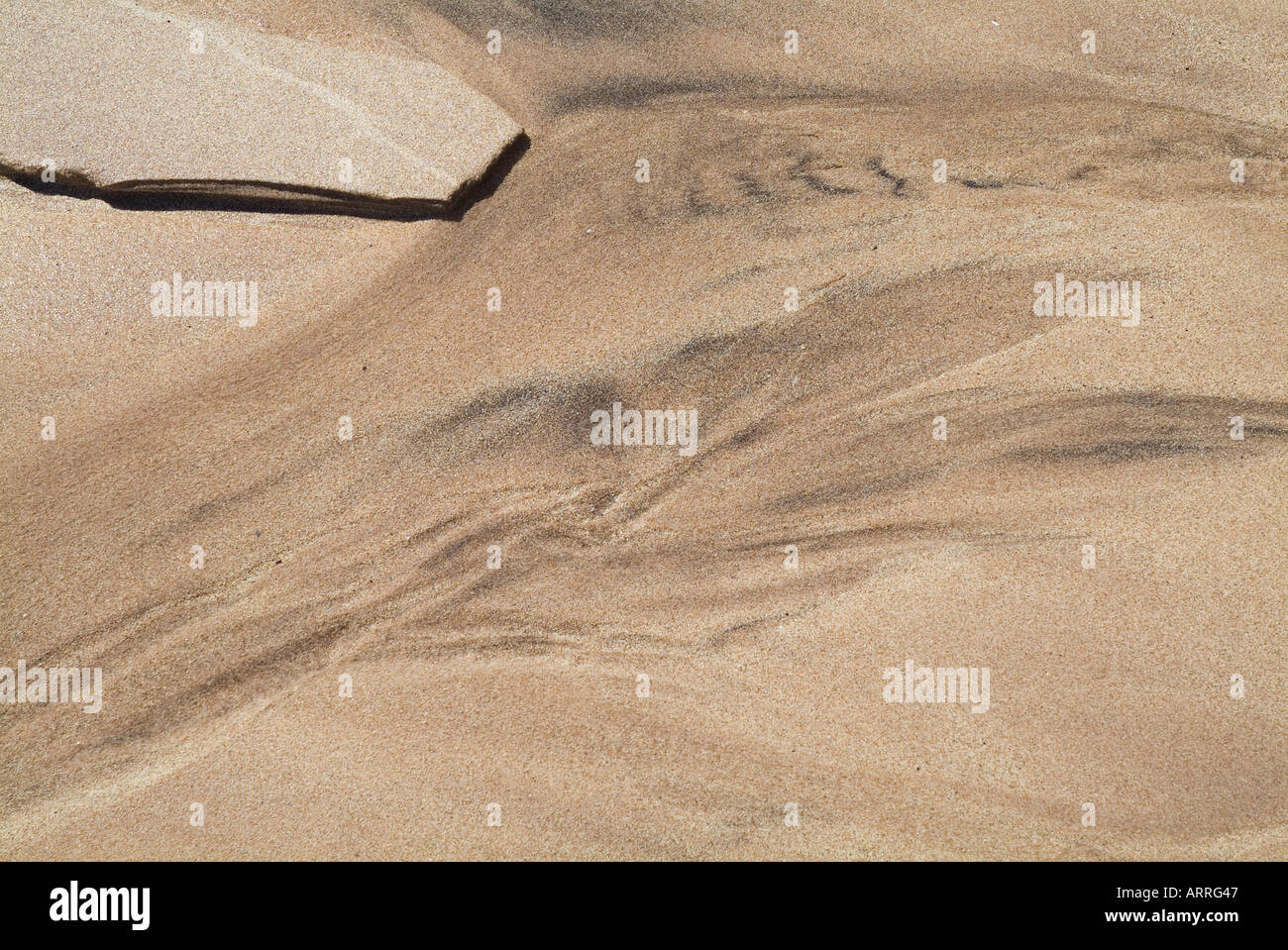 dh  SAND BACKGROUNDS BACKGROUND PATTERN Clear clean White sand beach texture copyspace patterns Stock Photo