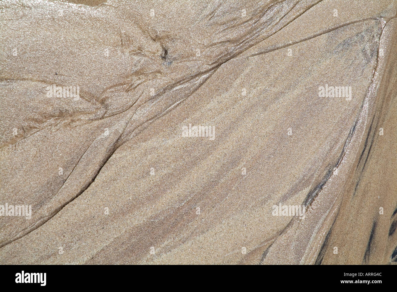 dh Texture backdrop beach SAND BACKGROUNDS BACKGROUND PATTERN Silver White sands copyspace close up from above back drop closeup Stock Photo