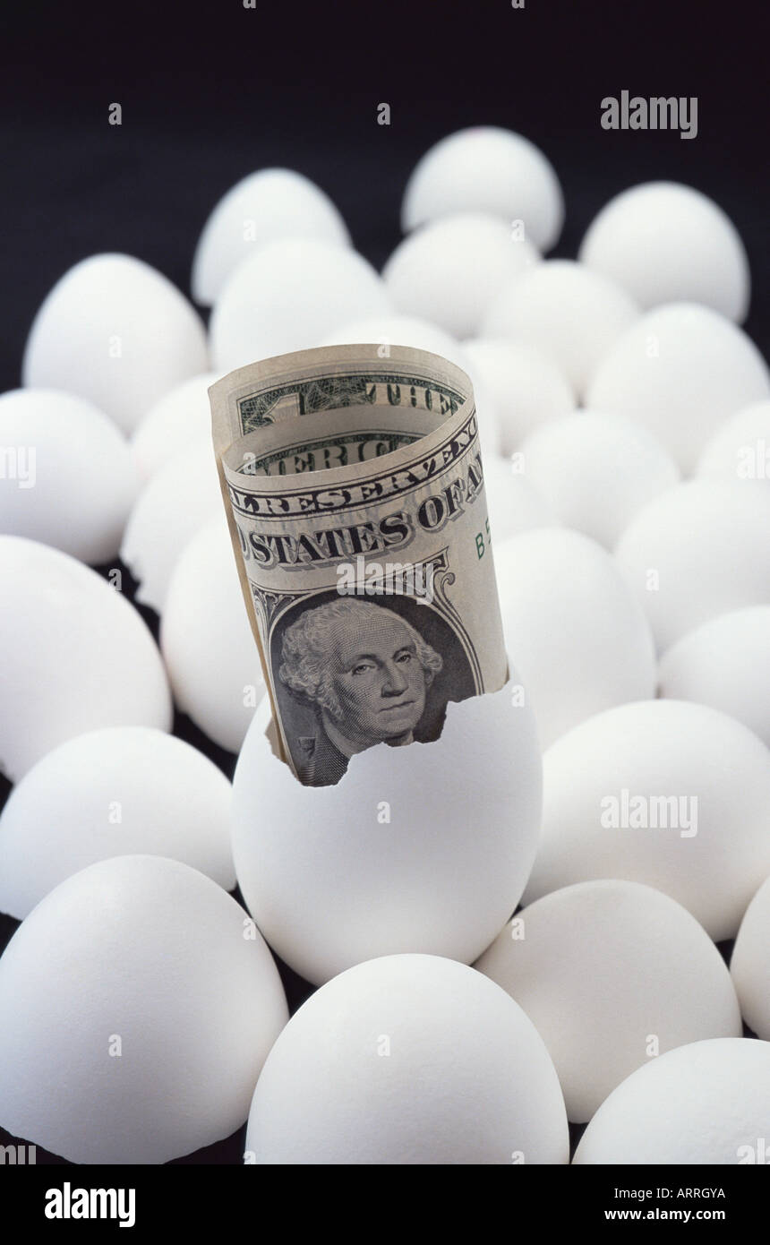 One dollar in an egg Stock Photo Alamy