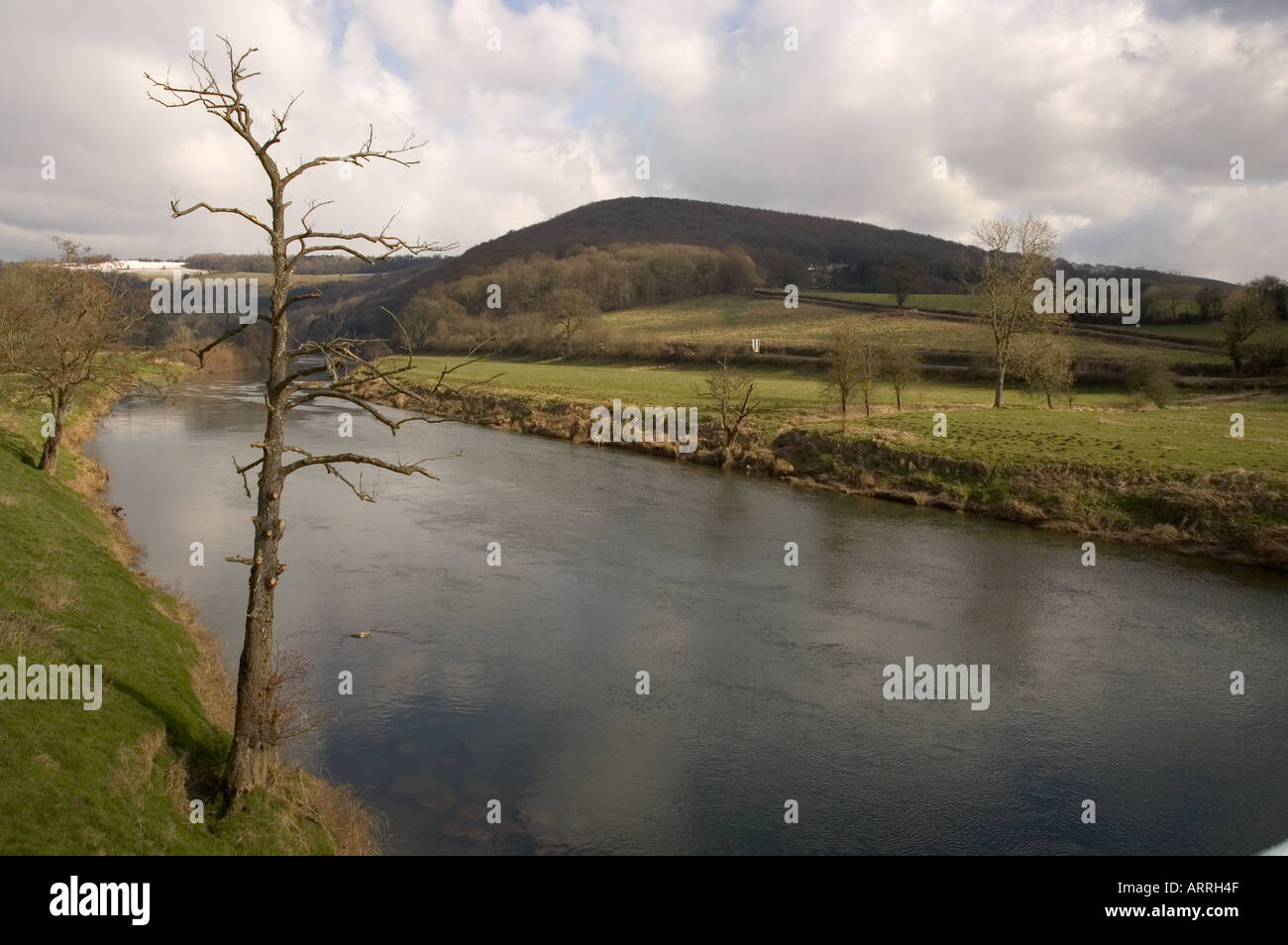The river wye monmouthshire britain hi-res stock photography and images ...