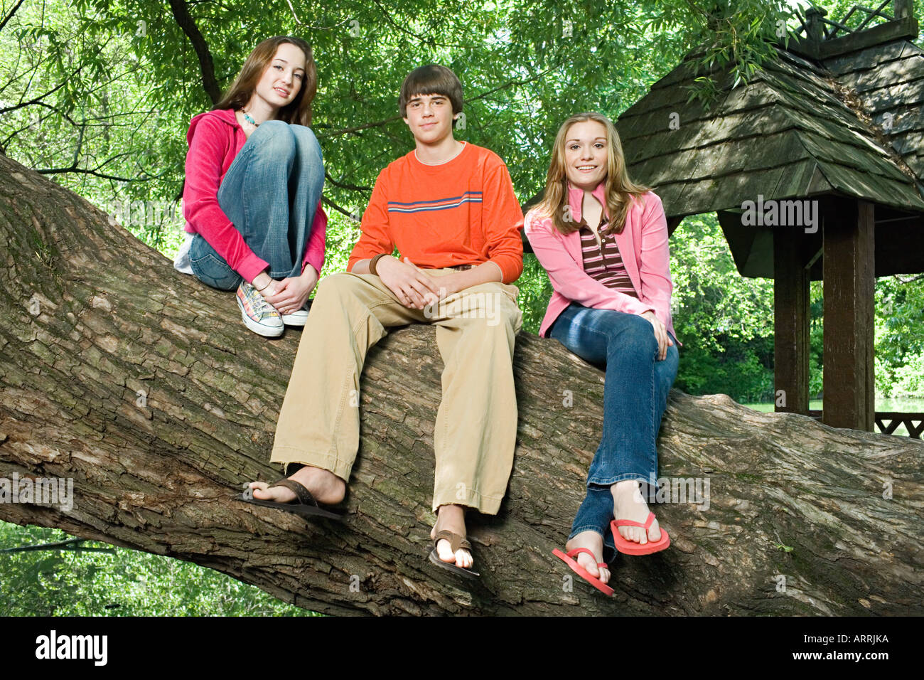 Трое подростков среди которых. На дереве трое людей. Трое сидят на дереве. Два человека сидят на ветке. Трое.