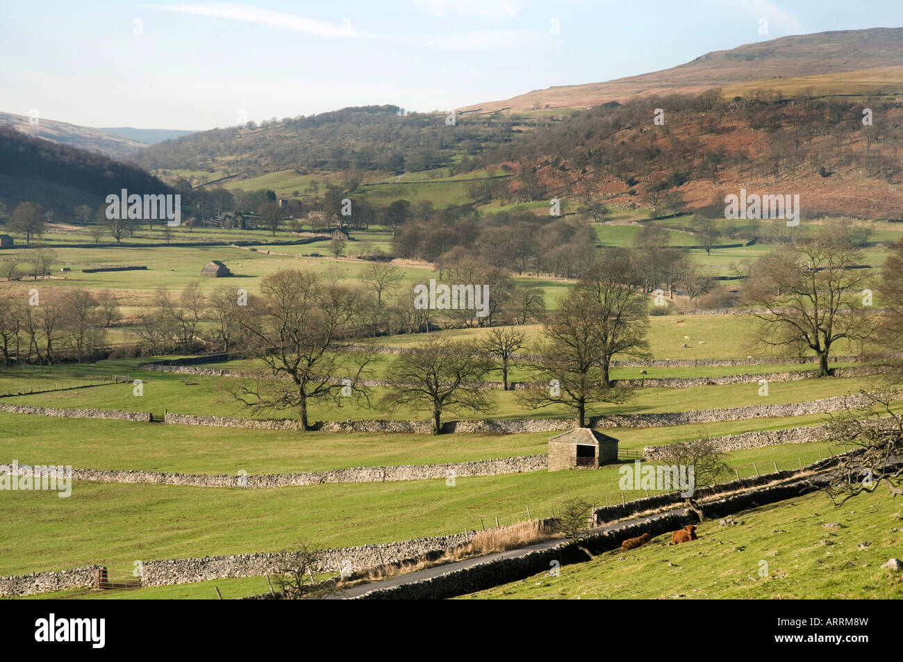 Buckden, Upper Wharfedale, Yorkshire Dales, Northern England Stock Photo
