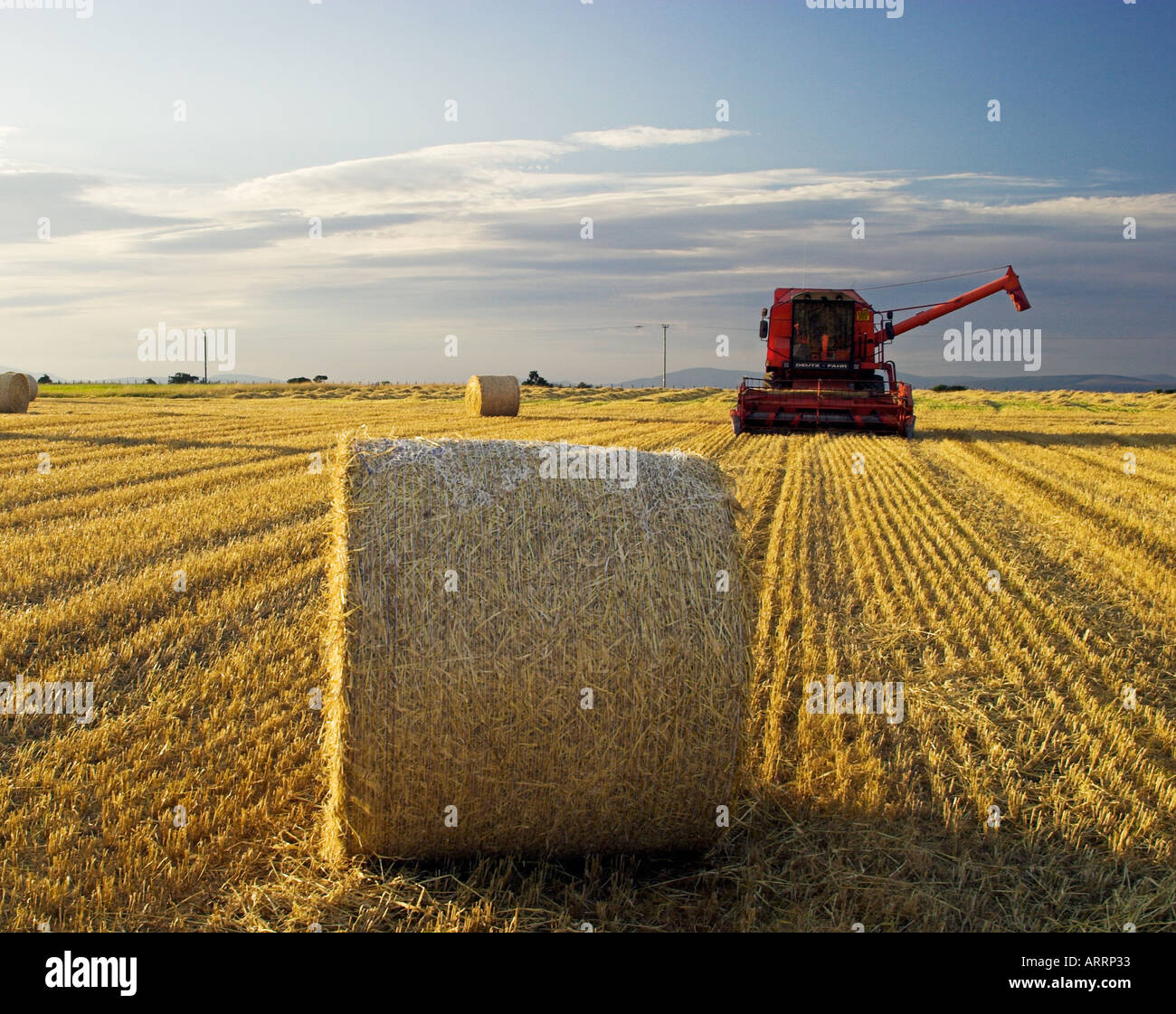 Straw bales and a harvester in late afternoon. Stock Photo