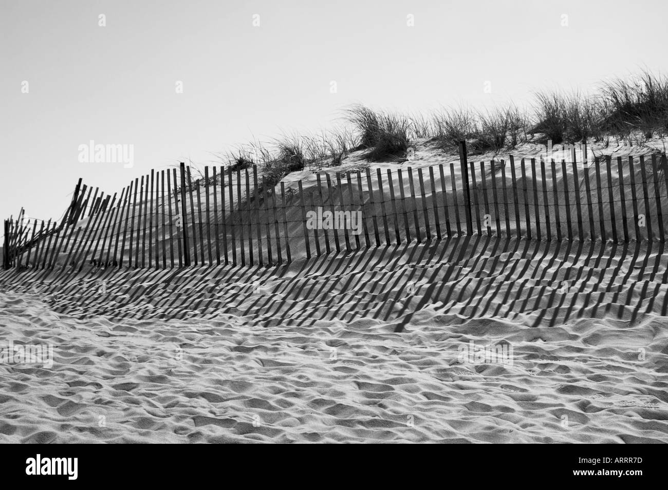 Black and White image of Sand Dunes and Fence Stock Photo - Alamy