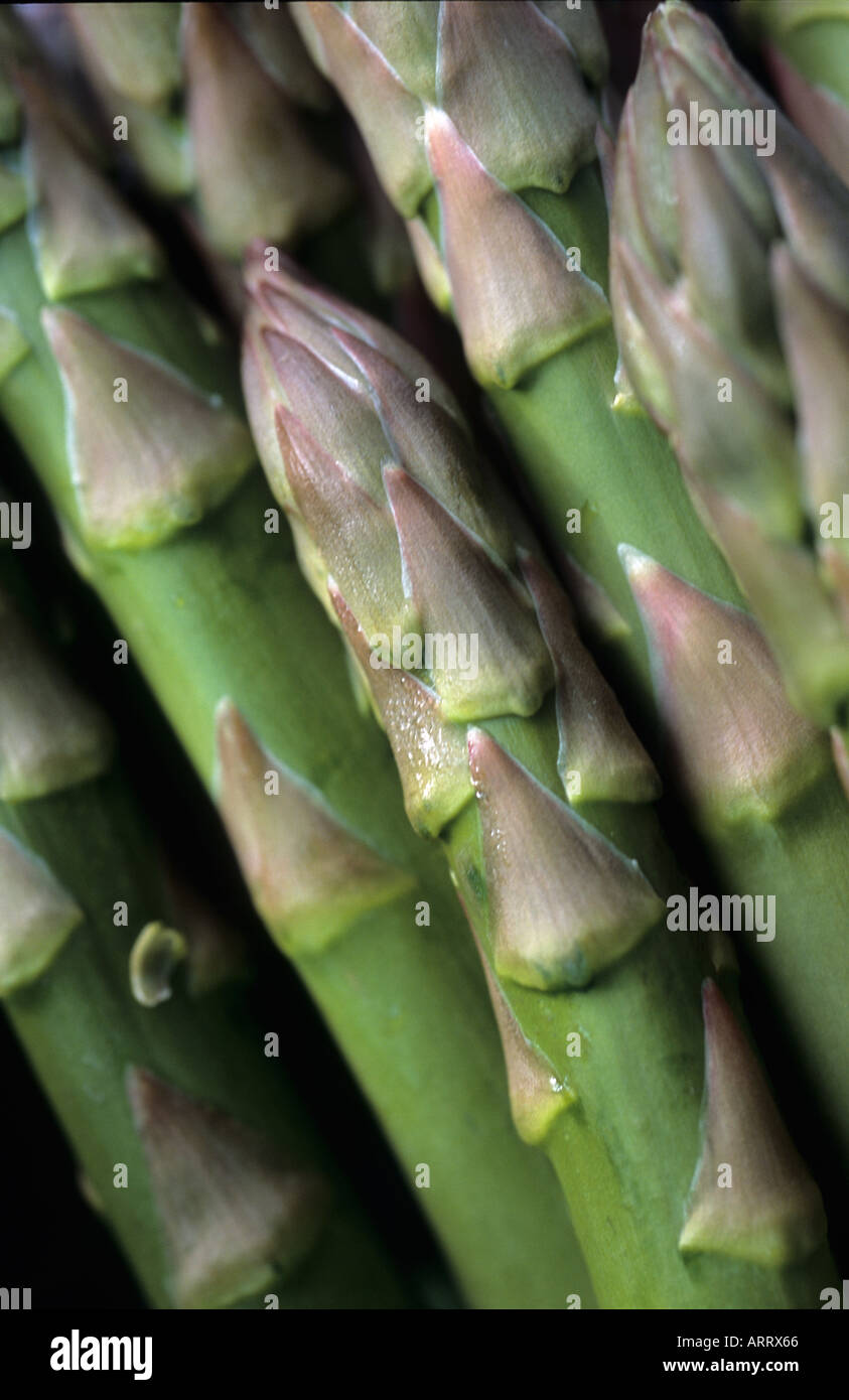 Asparagus tips Tetragonolobus purpureus Stock Photo Alamy