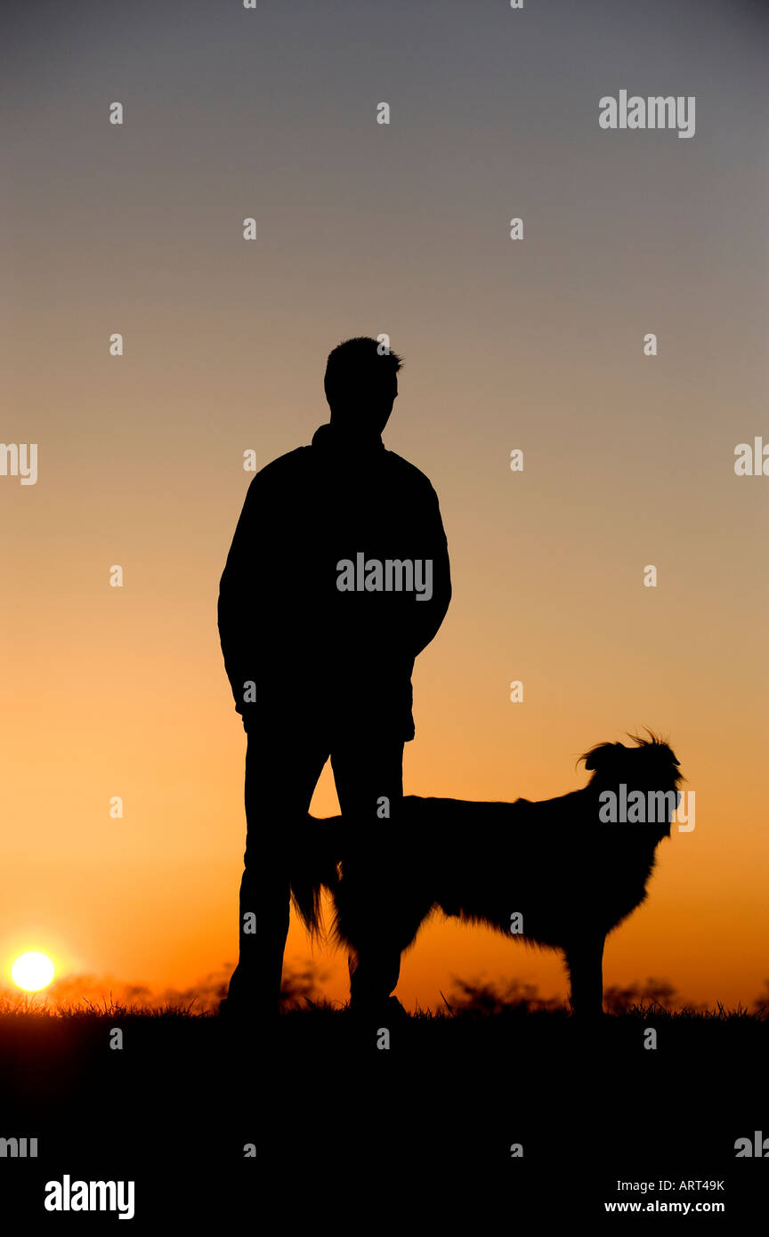 Border Collie with owner silhouette Stock Photo