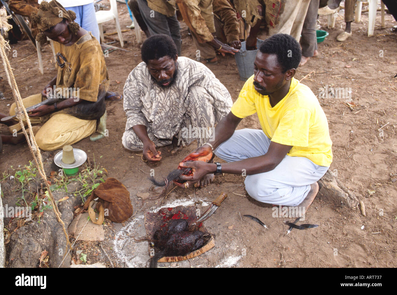 Senufo people hires stock photography and images Alamy