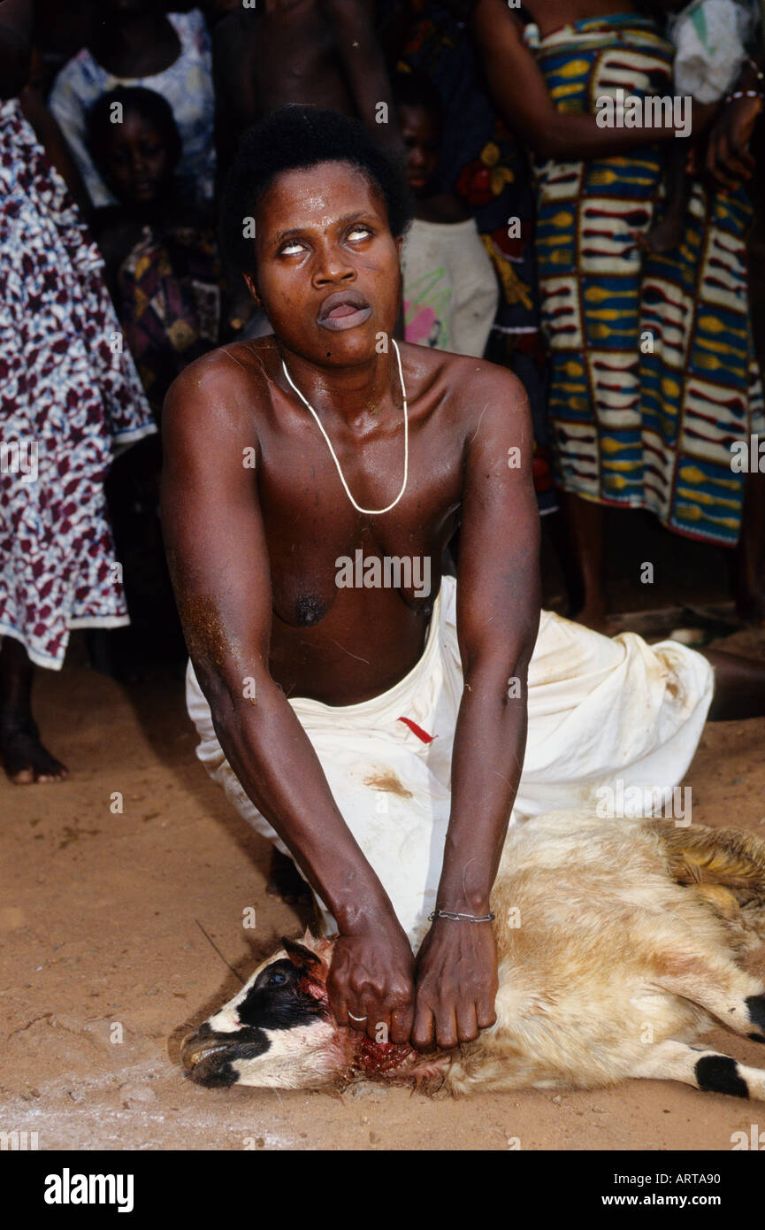Feeling the blood of the ram the possessed woman speaks what mustbe done in the healing ceremony Die vom Jaeger und Heilkraeutergott Age besessene Frau legt ihre Haende auf die noch blutende Halswunde der Ziege um zu fuehlen welches Heilritual fuer ein erkranktes Kind angezeigt ist Stock Photo