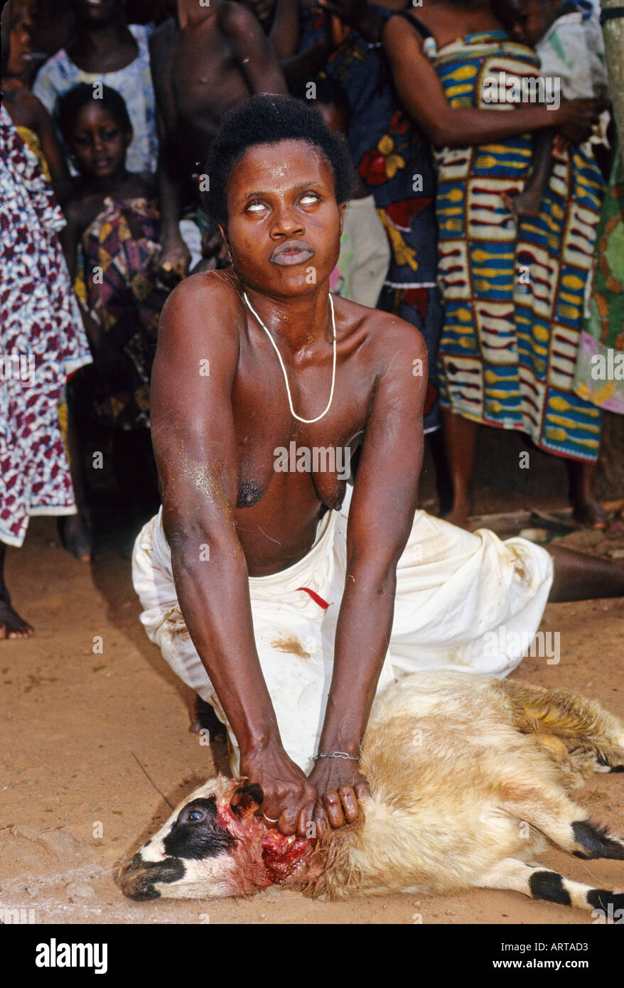 Feeling the blood of the ram the possessed woman speaks what mustbe done in the healing ceremony Die vom Jaeger und Heilkraeutergott Age besessene Frau legt ihre Haende auf die noch blutende Halswunde der Ziege um zu fuehlen welches Heilritual fuer ein erkranktes Kind angezeigt ist Stock Photo