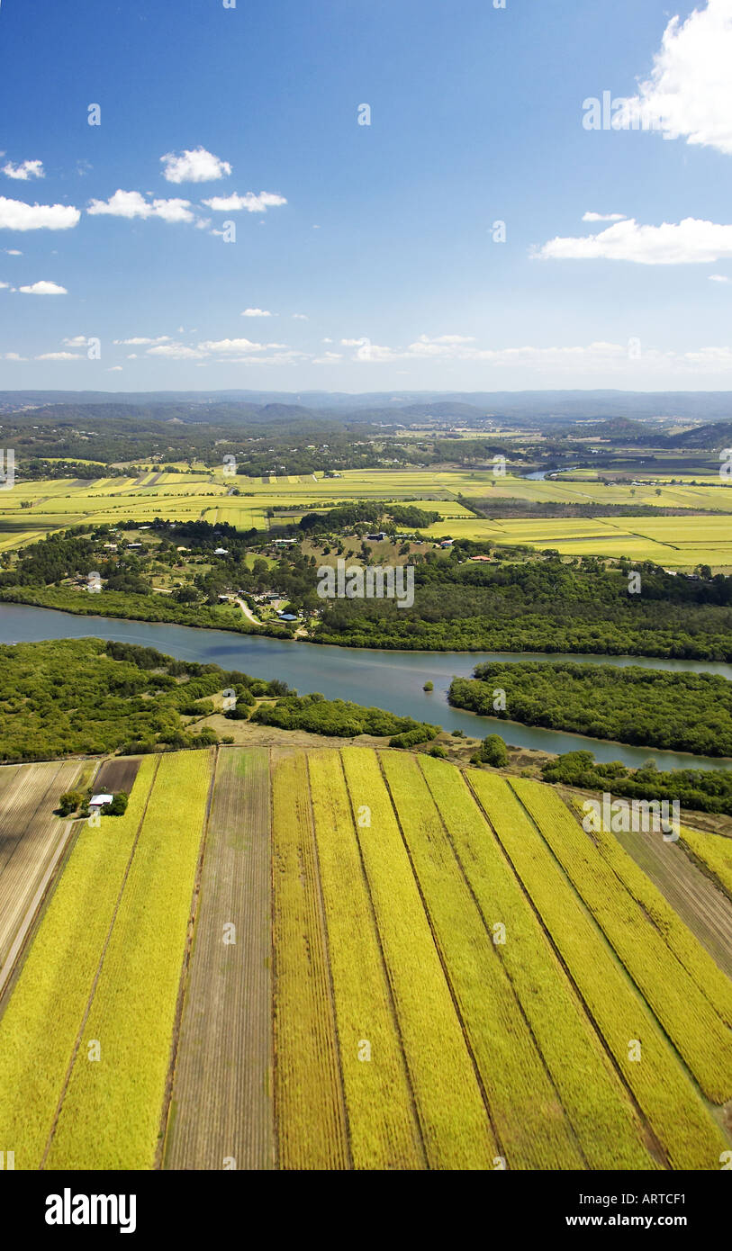 Sugar cane queensland coast hires stock photography and images Alamy