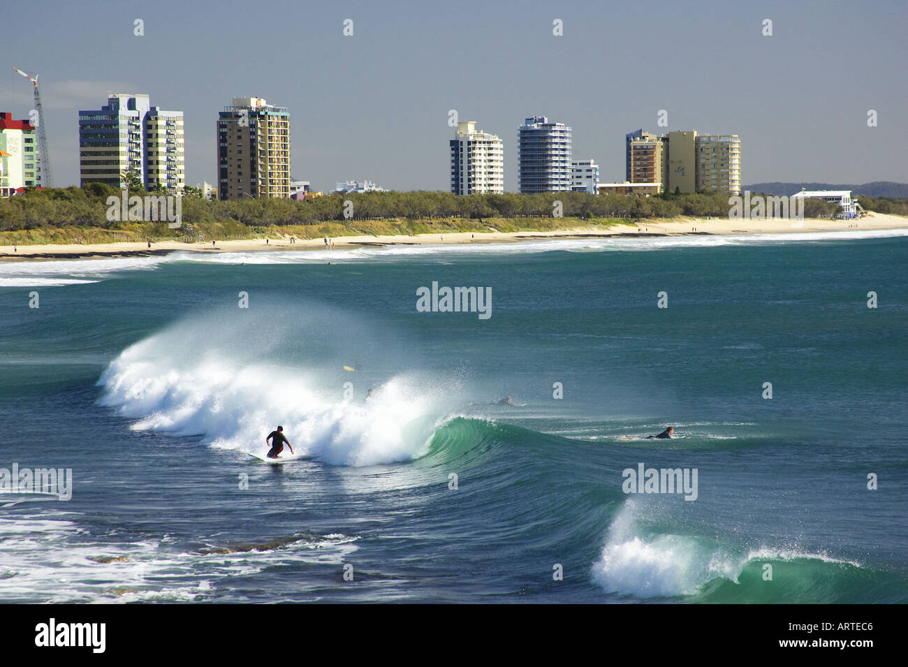 Surfers Alexandra Headland Sunshine Coast Queensland Australia Stock Photo