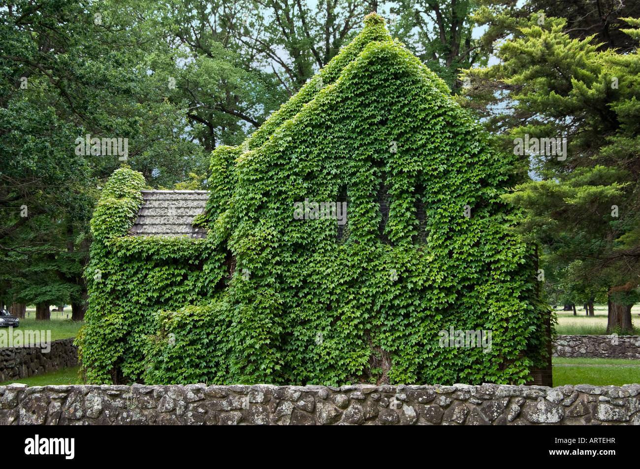 the beautiful gostwyck chapel covered in ivy Stock Photo - Alamy