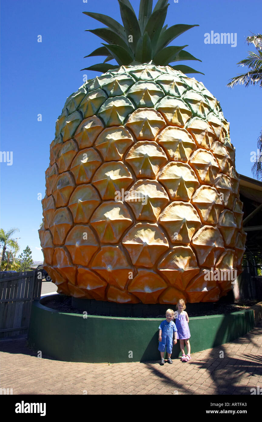 The Big Pineapple Sunshine Coast Queensland Australia Stock Photo