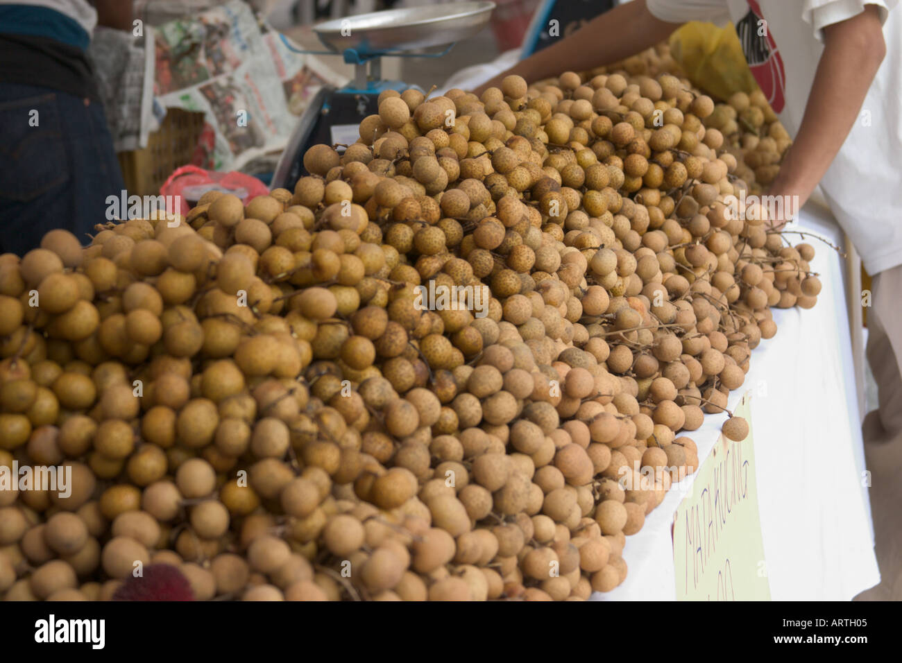 Mata Kuching Fruit Subspecies Of Dimocarpus Longan Stock Photo Alamy