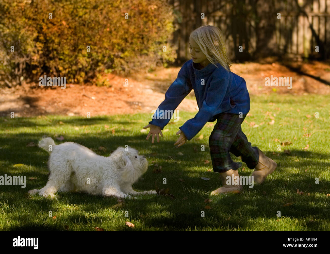 Young girl playing with her dog in the backyard Stock Photo - Alamy