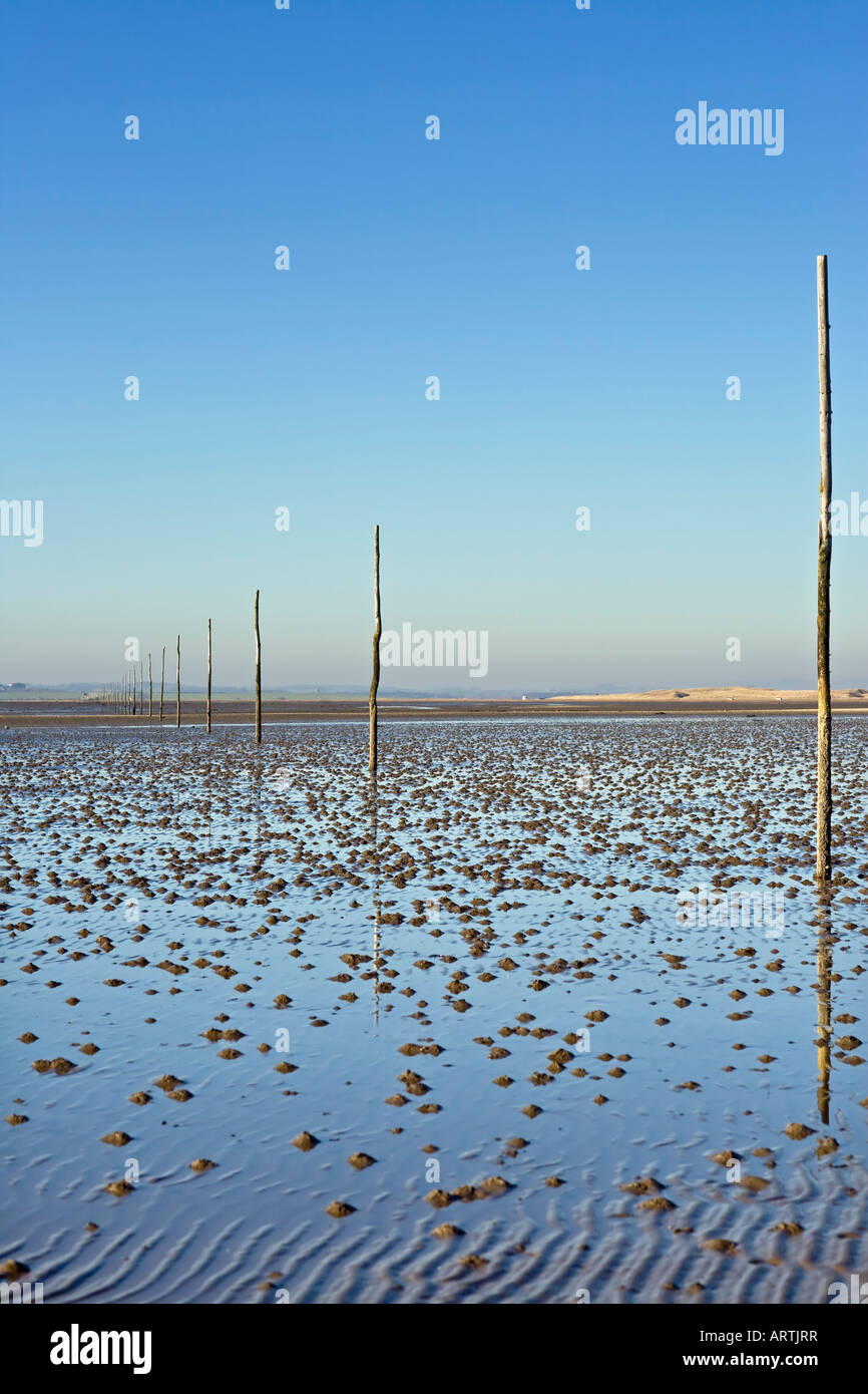 Pilgrim's causeway at low tide on the Holy Island of Lindisfarne, Northumbria UK Stock Photo
