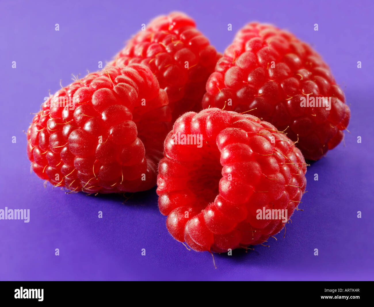 Purpe Raspberry Purple edible fruit fruits hi-res stock photography and images - Alamy