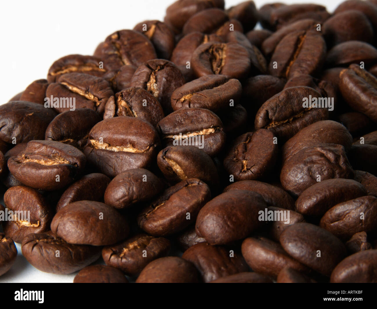 Kenyan beans hires stock photography and images Alamy