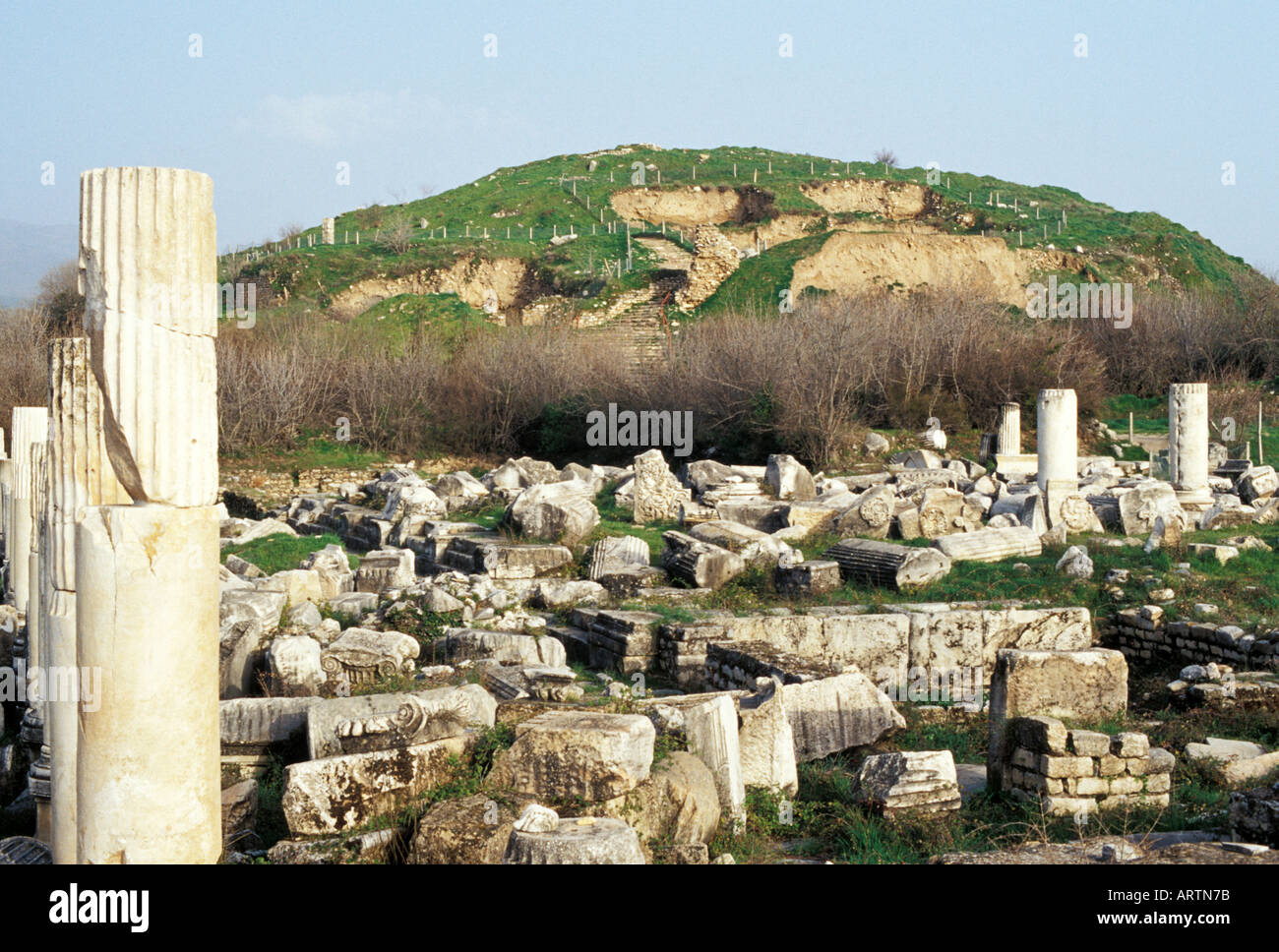 Turley Stock Photo Alamy