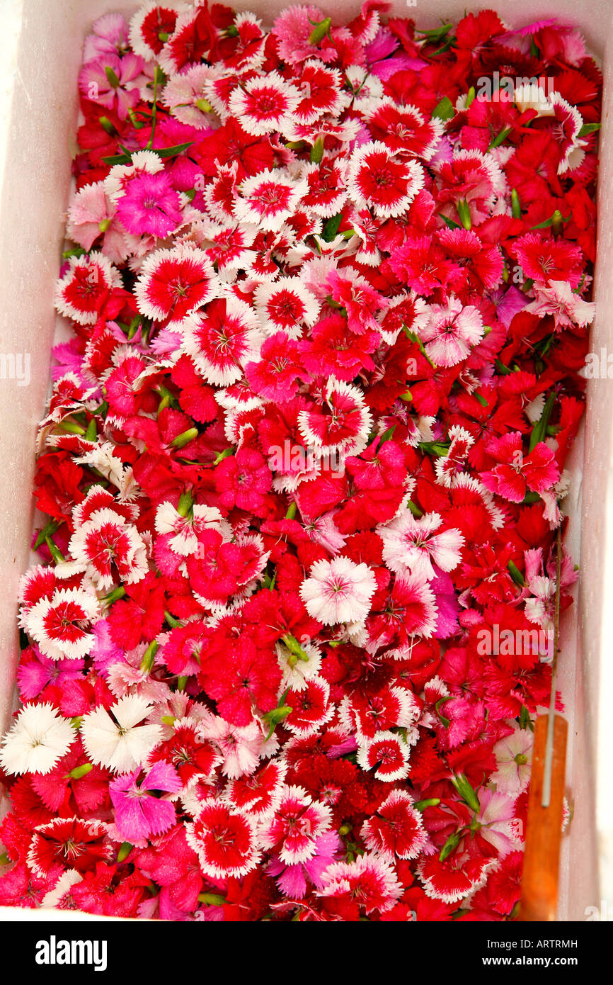 Edible flowers for restaurants Stock Photo - Alamy