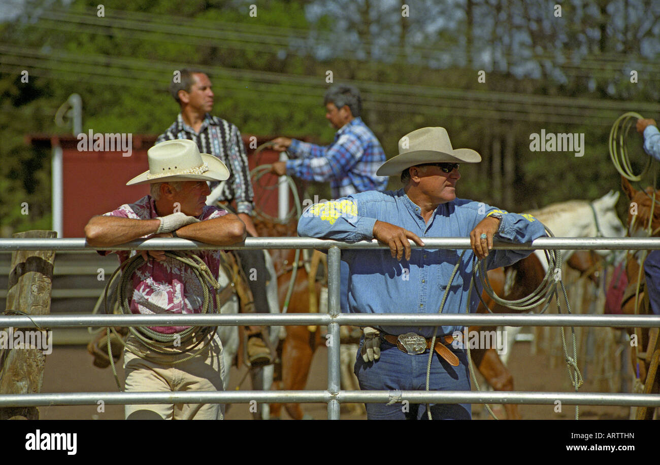 Two competitors watching and waiting their turn in an upcountry roping competition Stock Photo