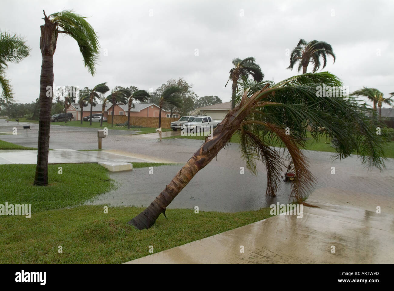 Hurricane Wilma South Florida street flooding road damage palm tree pushed over bad weather severe Stock Photo