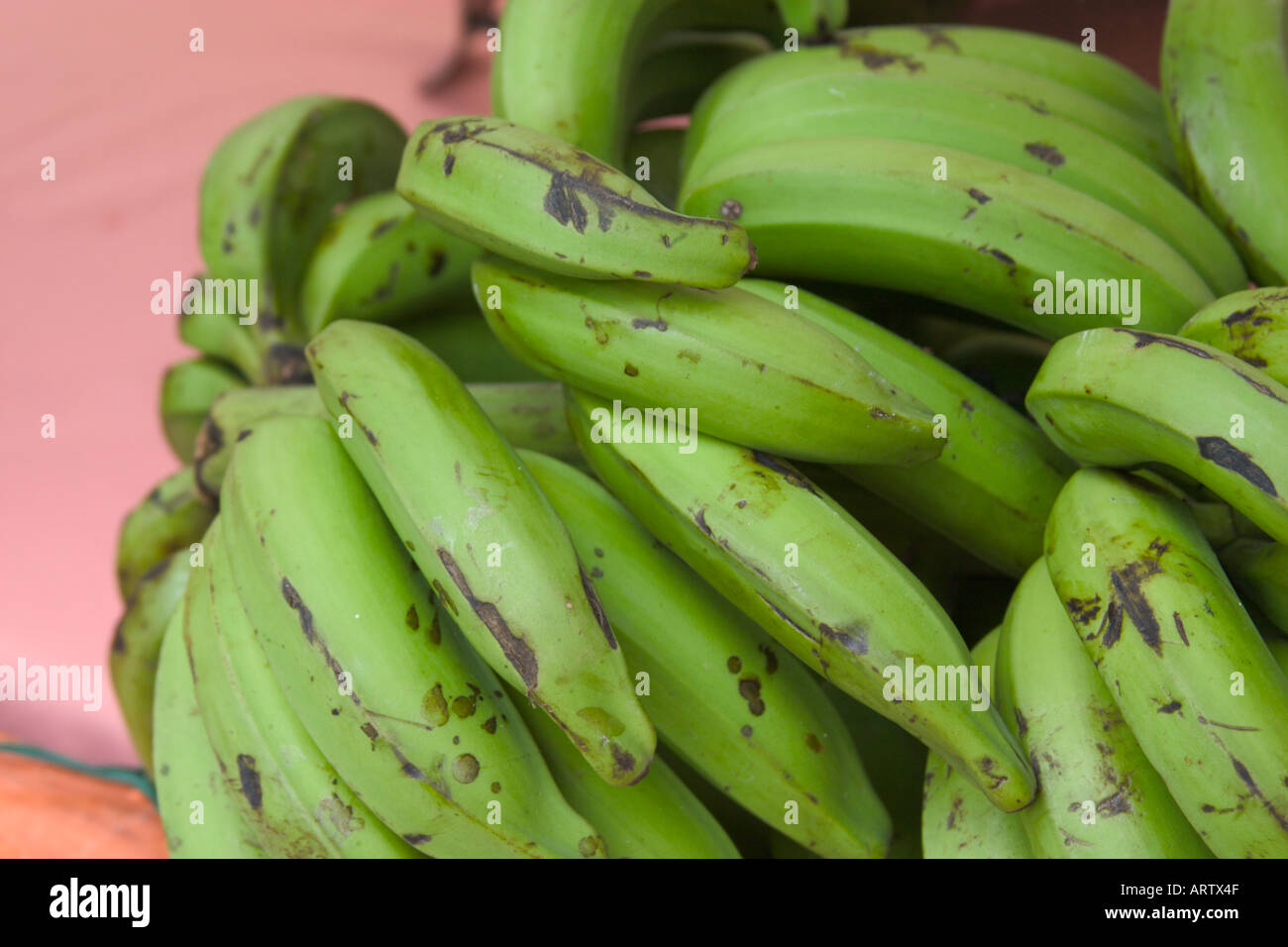 green bananas Stock Photo