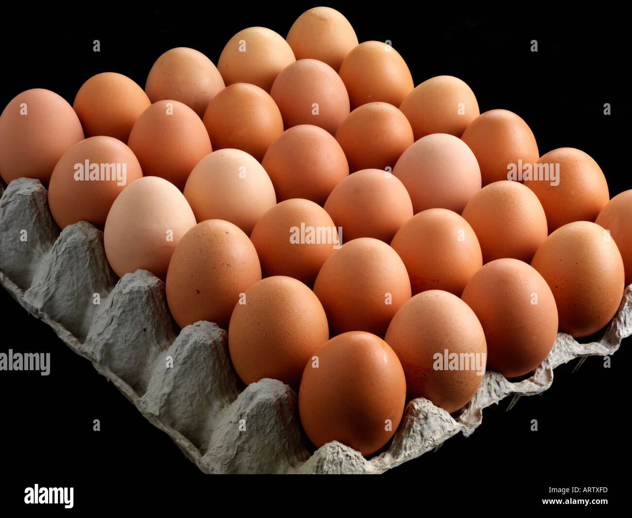 BROWN EGGS IN CARTON Stock Photo