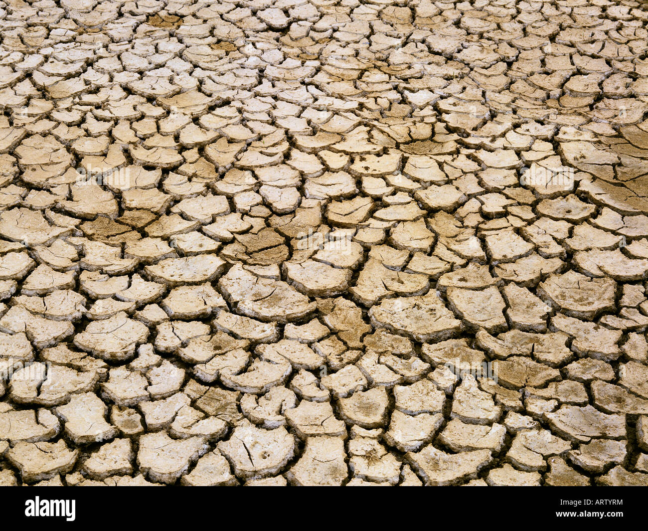 Marsh soil cracked by the drought Doñana Natural Park Sevilla Andalucia Spain Stock Photo