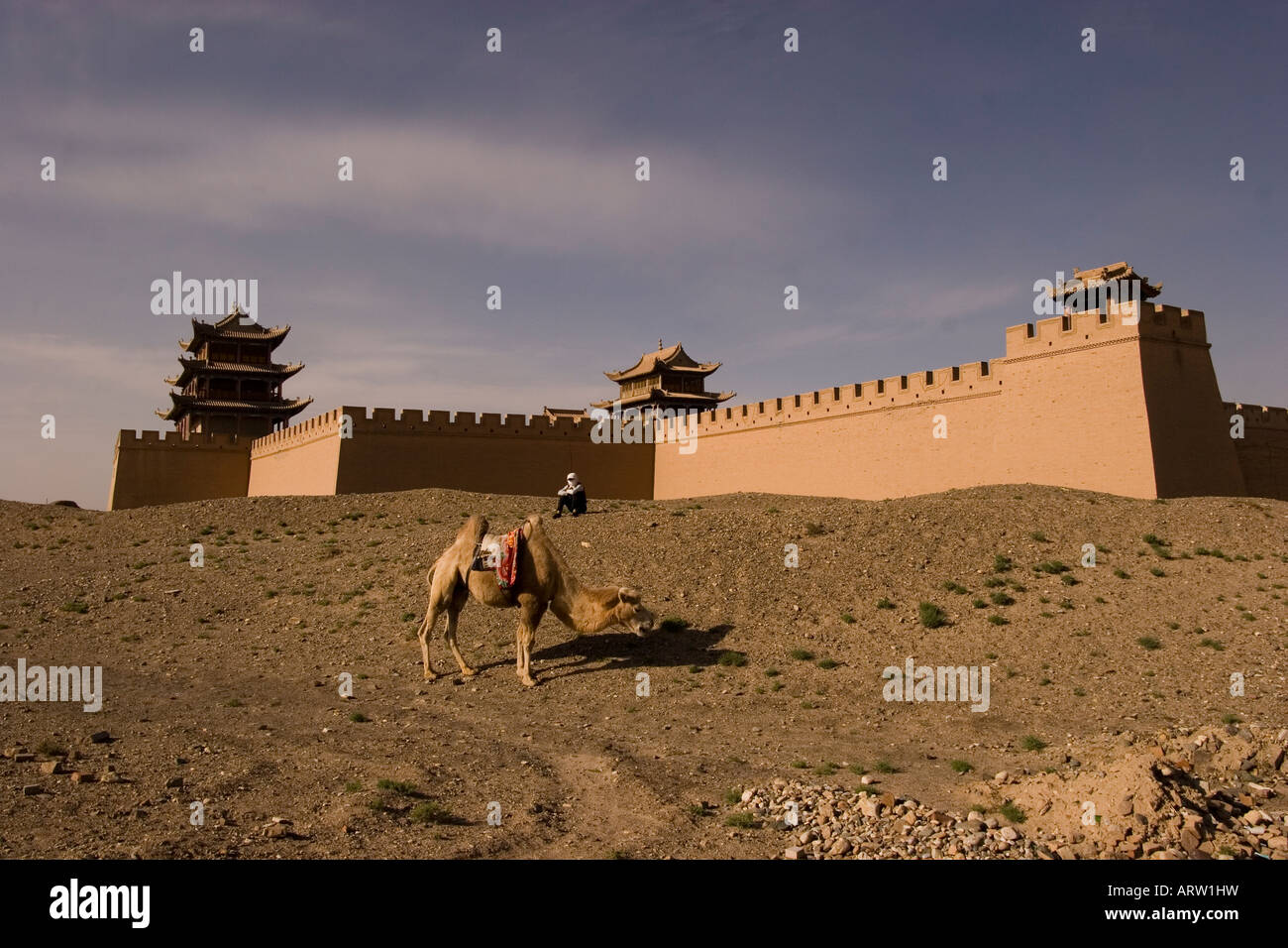 Jiayuguan Fort with a camel at the western end of the Great Wall, China ...