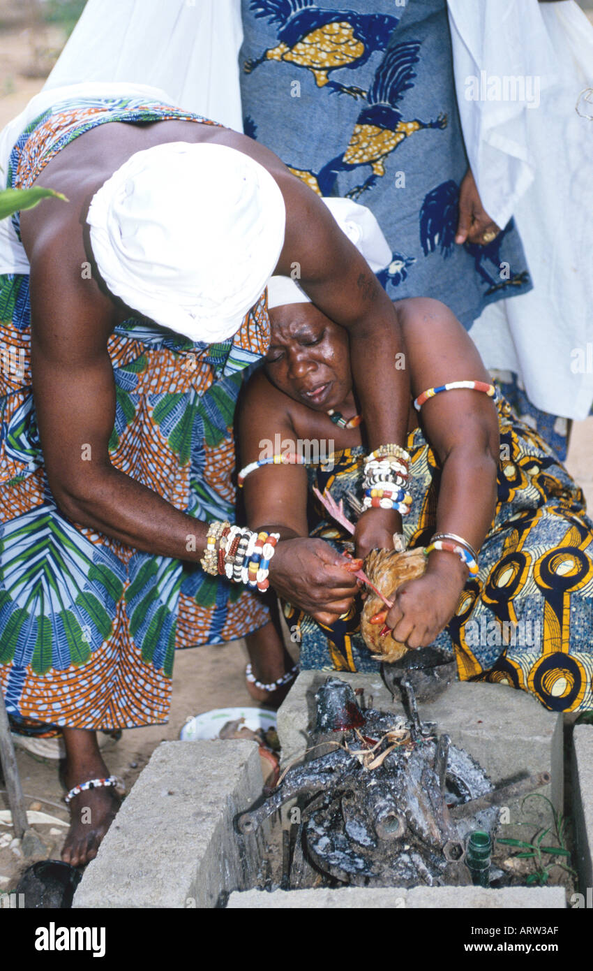 Cotonou Benin Mami Wata Heilungszeremonie zwei Maedchen sollen von ihrem Pech geheilt werden Die Priesterin opfert dem Eisen und Kriegsgott Gu Ogun ein Huhn Um Eifersucht zu vermeiden muss allen Goettern gopfert werden Cotonou Benin Mami Wata healing ceremony to cure two girls bad luck The priestess is offering a chicken for the iron and warrior god Gu Ogun All gods must receive an offering to avoid jealousy Stock Photo
