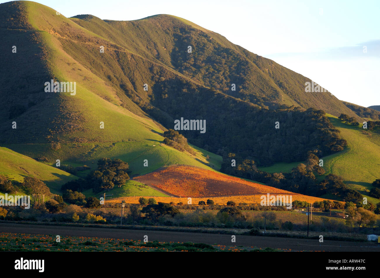 Buellton hires stock photography and images Alamy