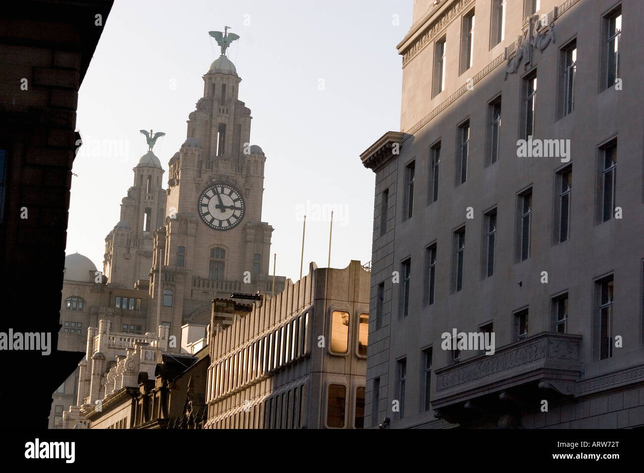Liverpool home of The Beatles THE FAMOUS LIVER BUILDING ON THE MERSEY RIVER HARBOUR FRONT LIVERPOOL ENGLAND Stock Photo