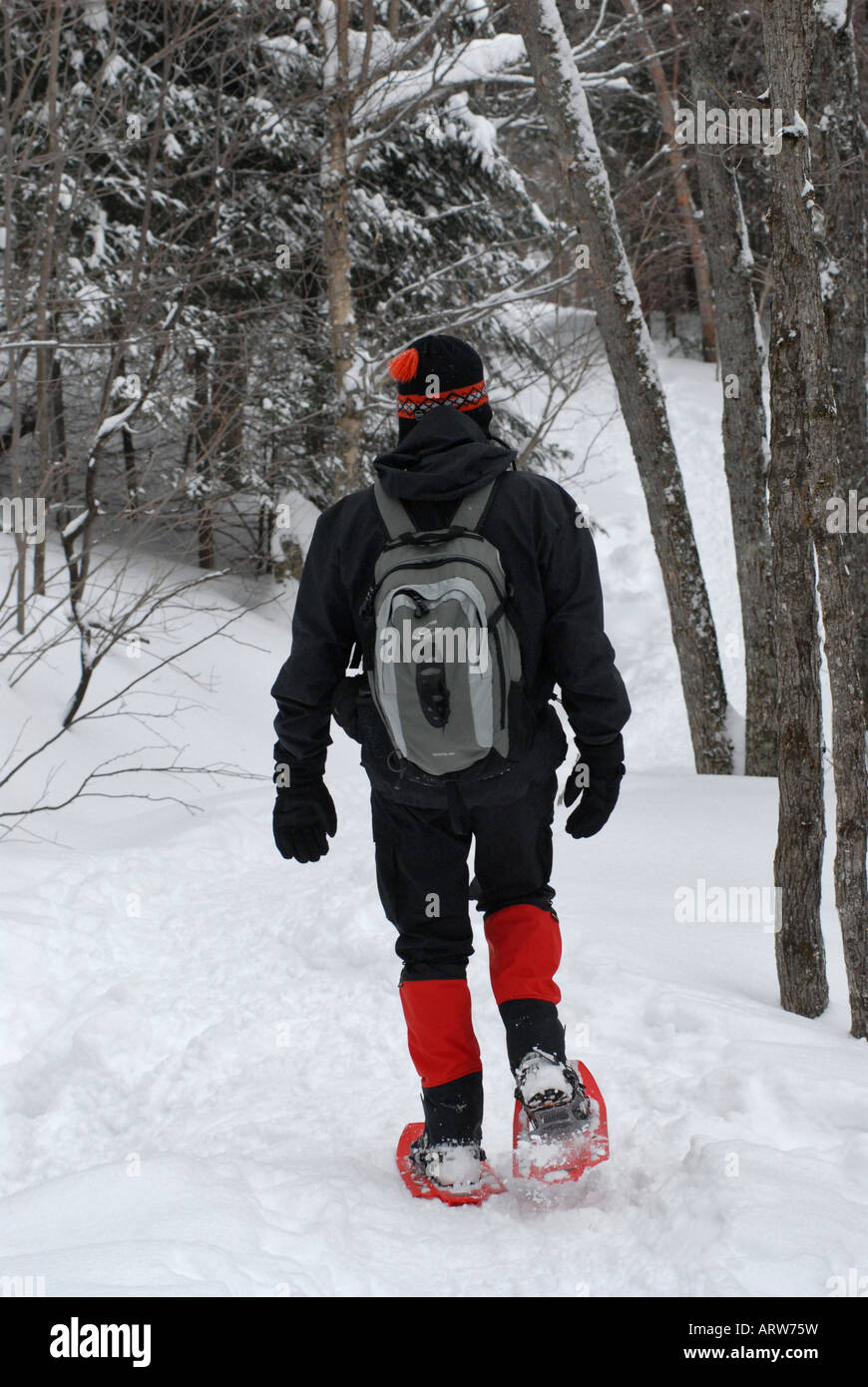 Snowshoeing expedition Mont Tremblant park Laurentians Quebec Canada
