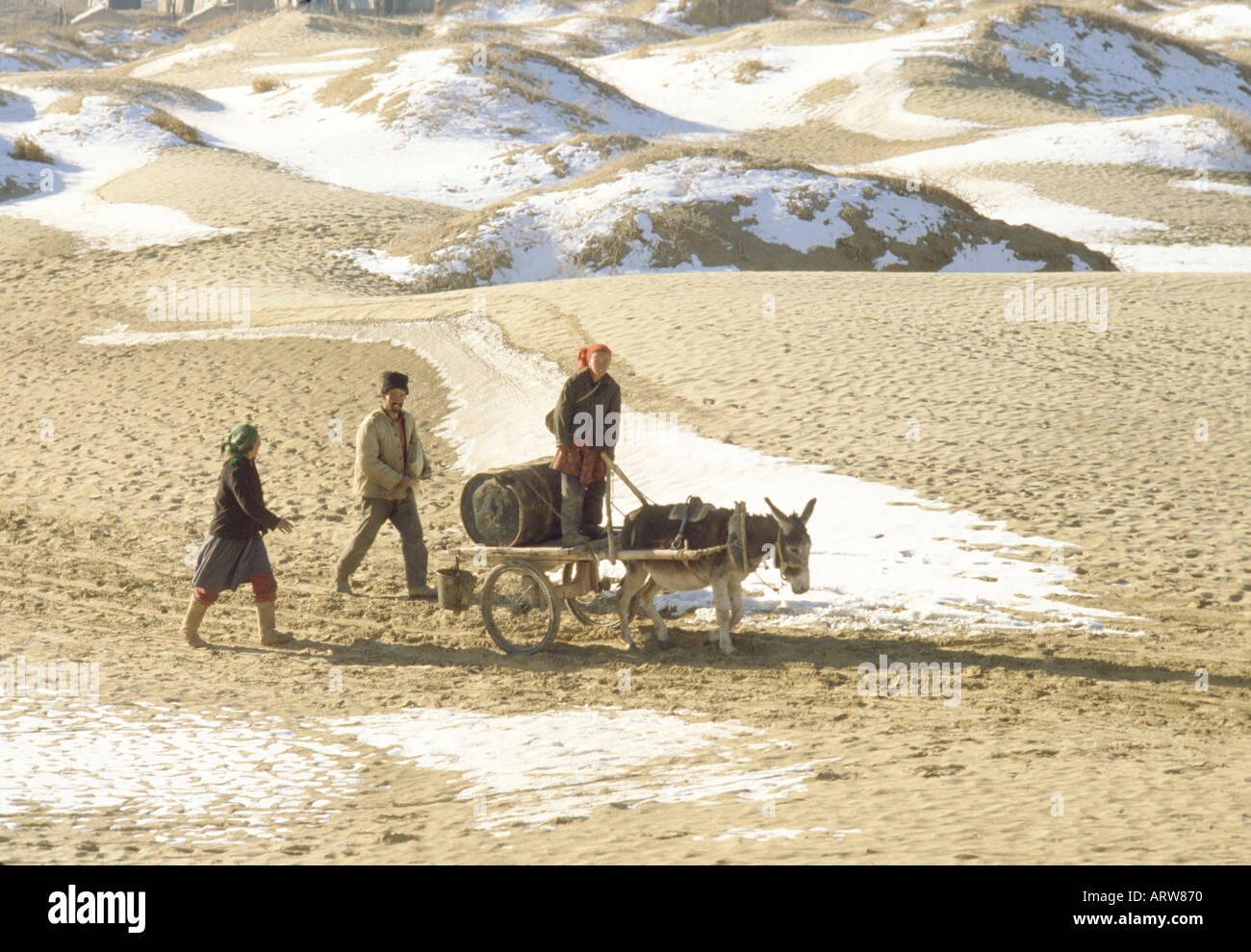 Uyghur family travelling with cargo on a donkey highcart in winter snow spattered taklamakan desert west china Stock Photo