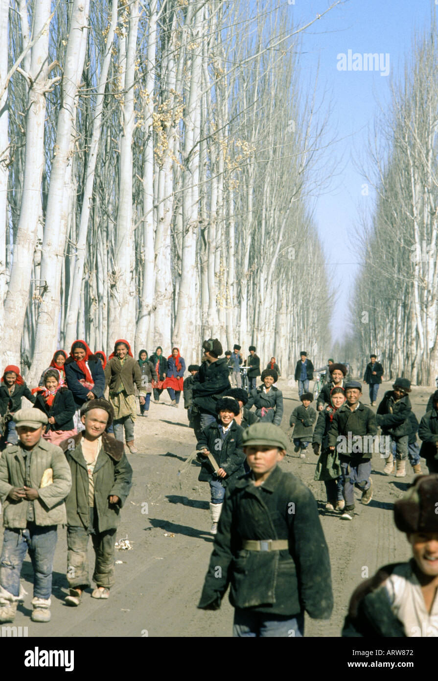 Uyghur boys and girls of school in Kokeya Taklamakan desert west China in main Poplar tree-lined road of town Stock Photo