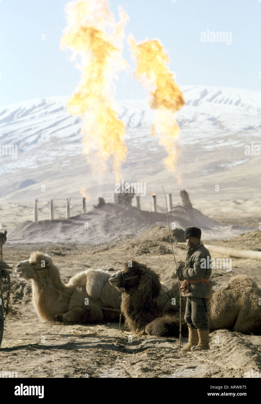 China taklamakan Uyghur camel drover with bacrian camels warms himself by oil well burnoff western desert. Stock Photo
