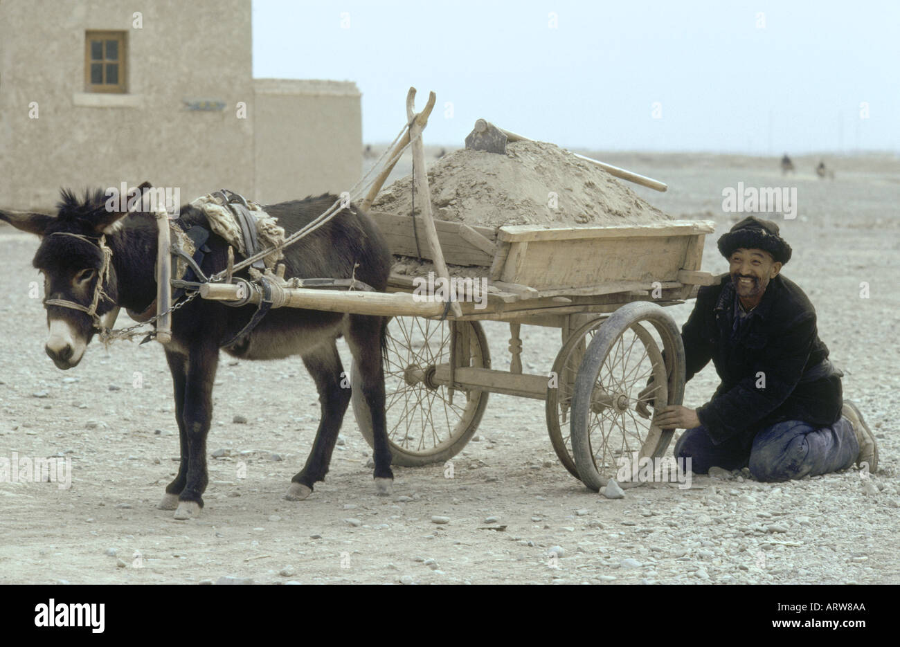 Hotan china in the Taklamakan desert uyghur tribesman mending a flat tyre on donkey highcart Stock Photo