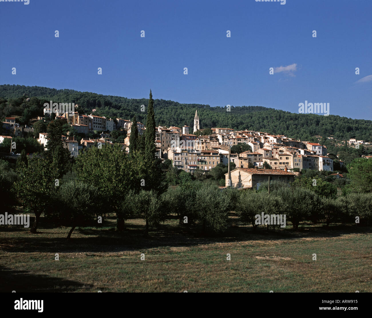 Callas var hires stock photography and images Alamy