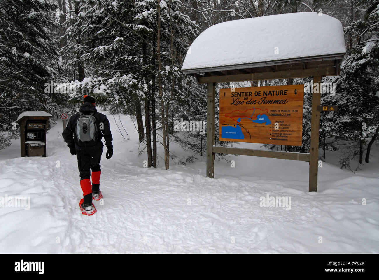Man snowshoeing in Mont Tremblant park Laurentians Quebec Canada Stock Photo