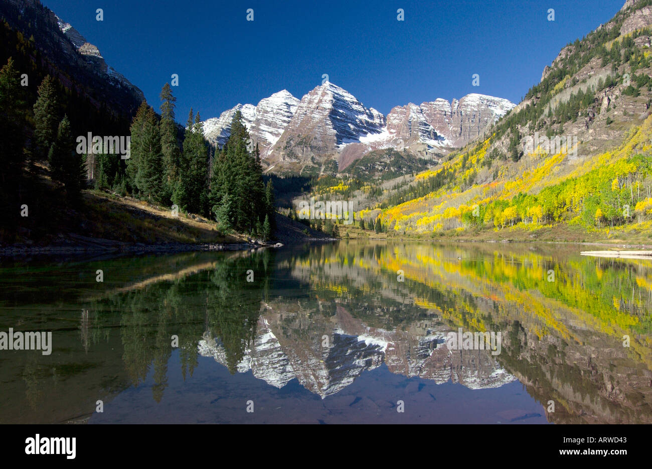 Fall foliage and the Maroon Bells in Colorado USA Stock Photo - Alamy