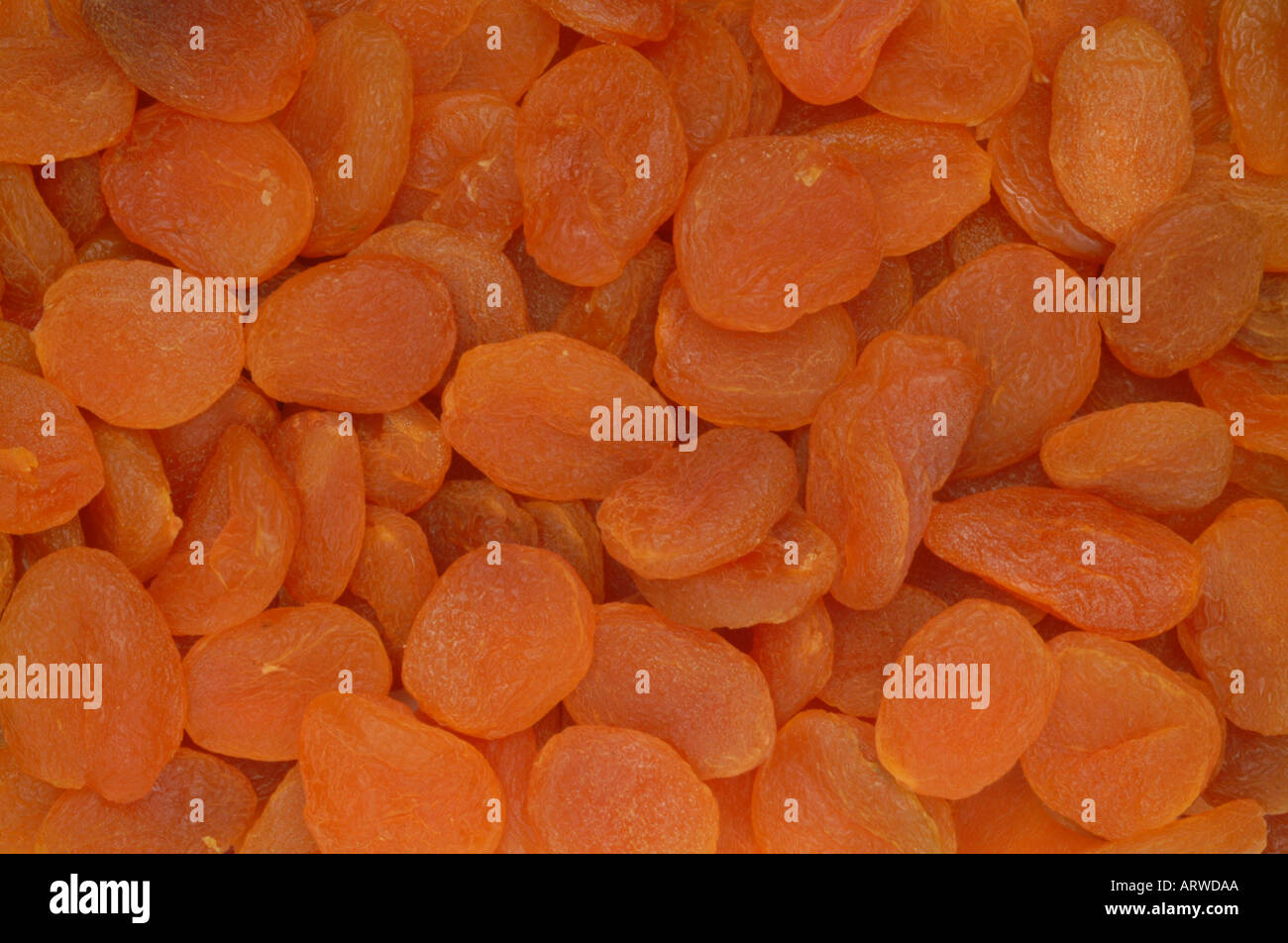 apricot dried whole fresh ingredient Stock Photo